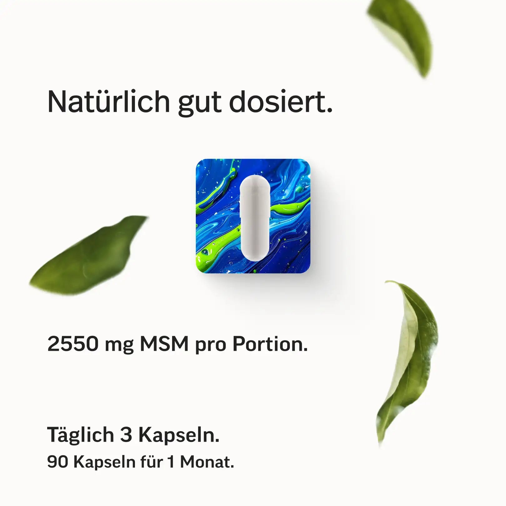 MSM Kapseln