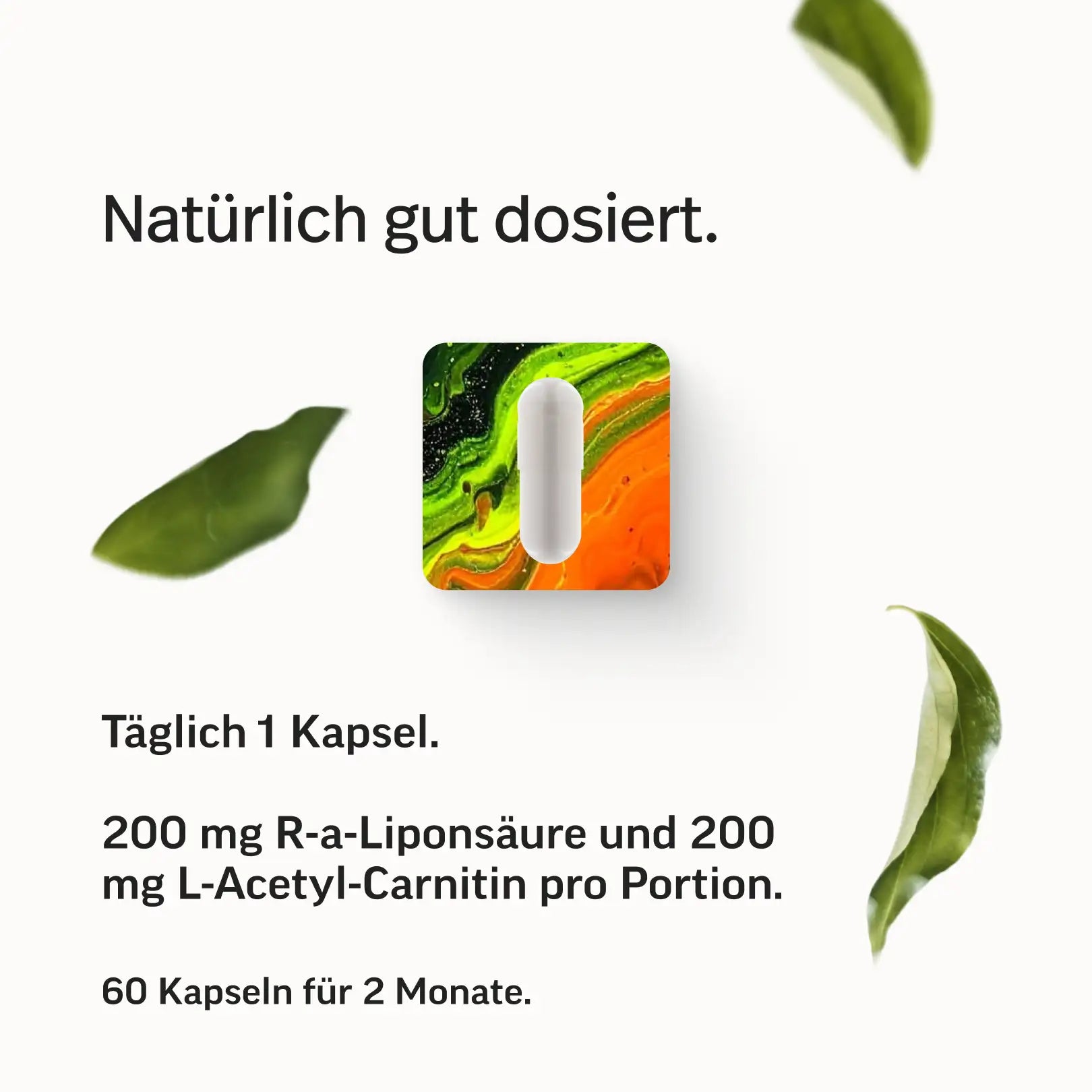 Macarena Kapseln