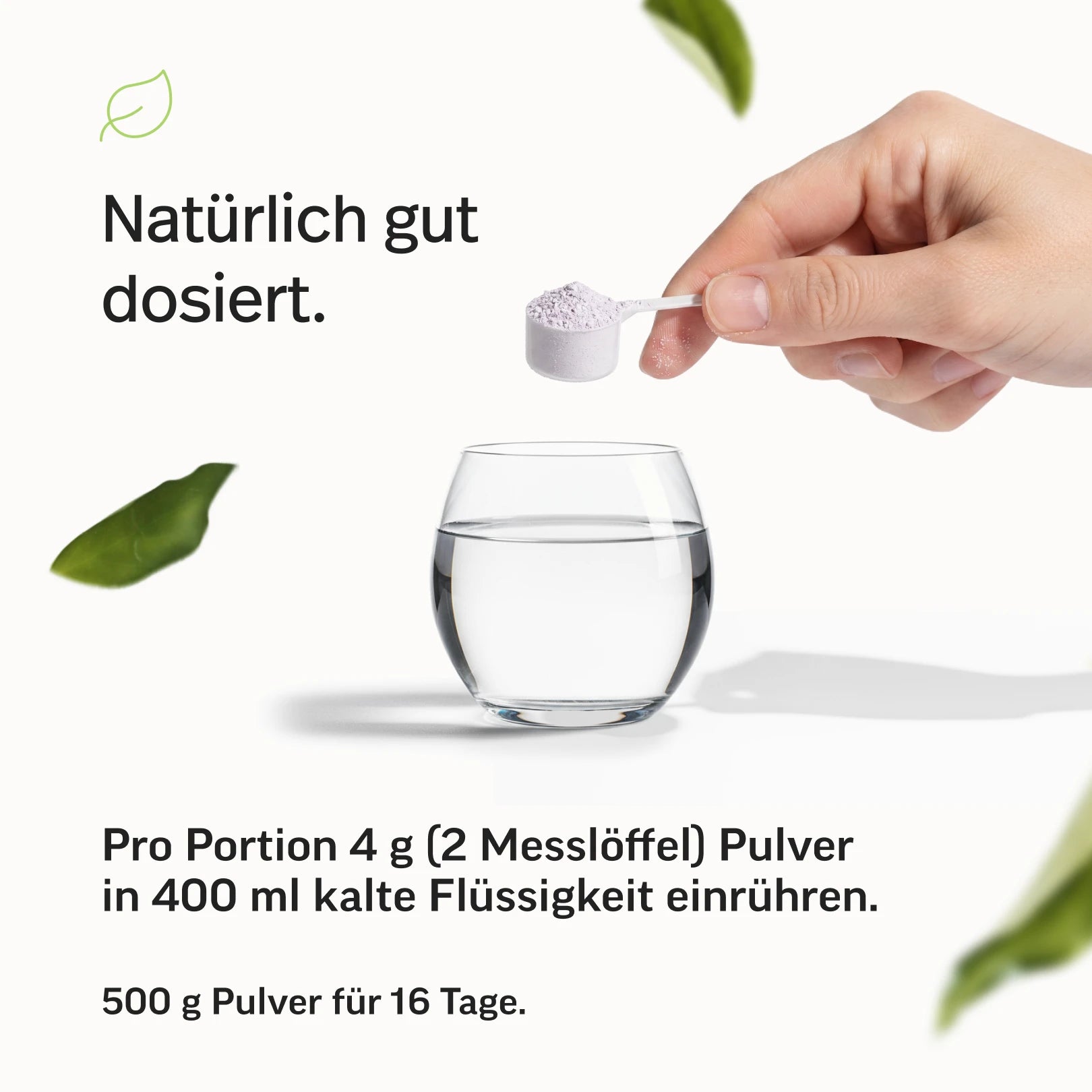 Magnesium Pulver