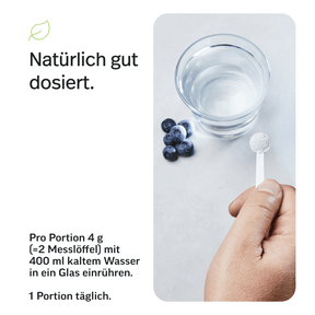 Magnesium Pulver