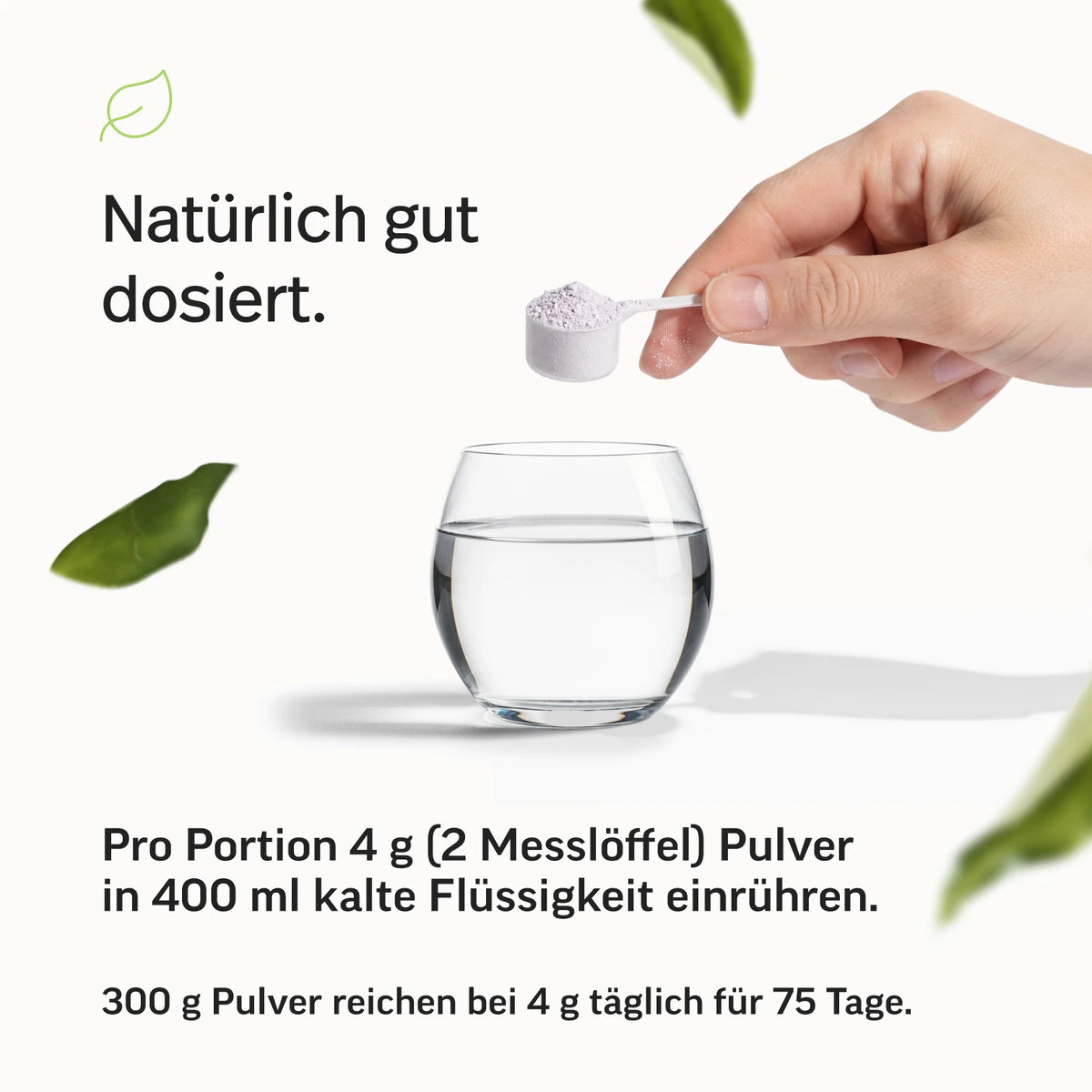 Magnesium Pulver