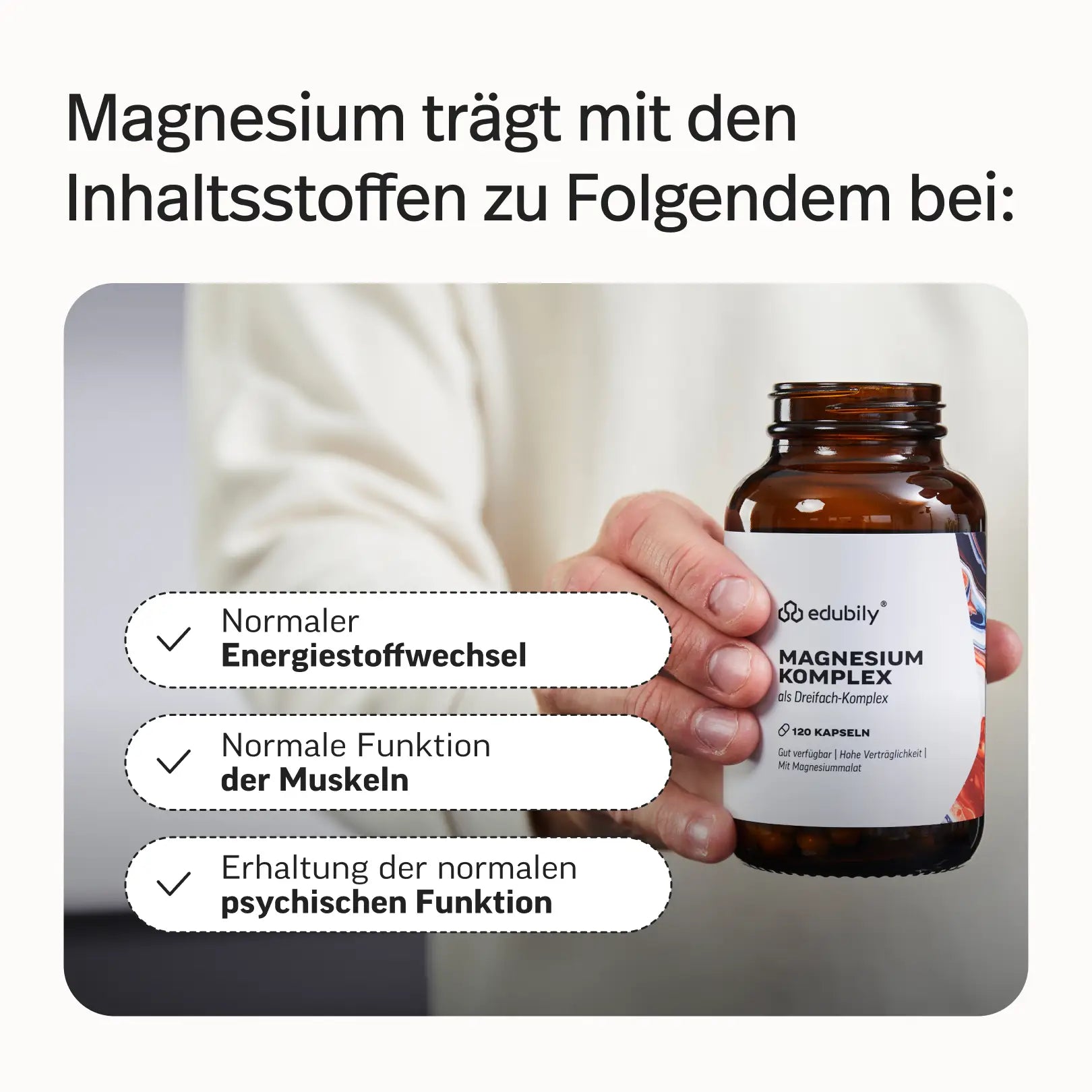 Gründer-Bundle Phil