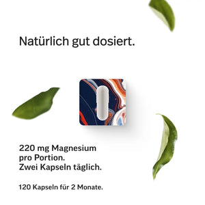 #Inhalt_120 Kapseln