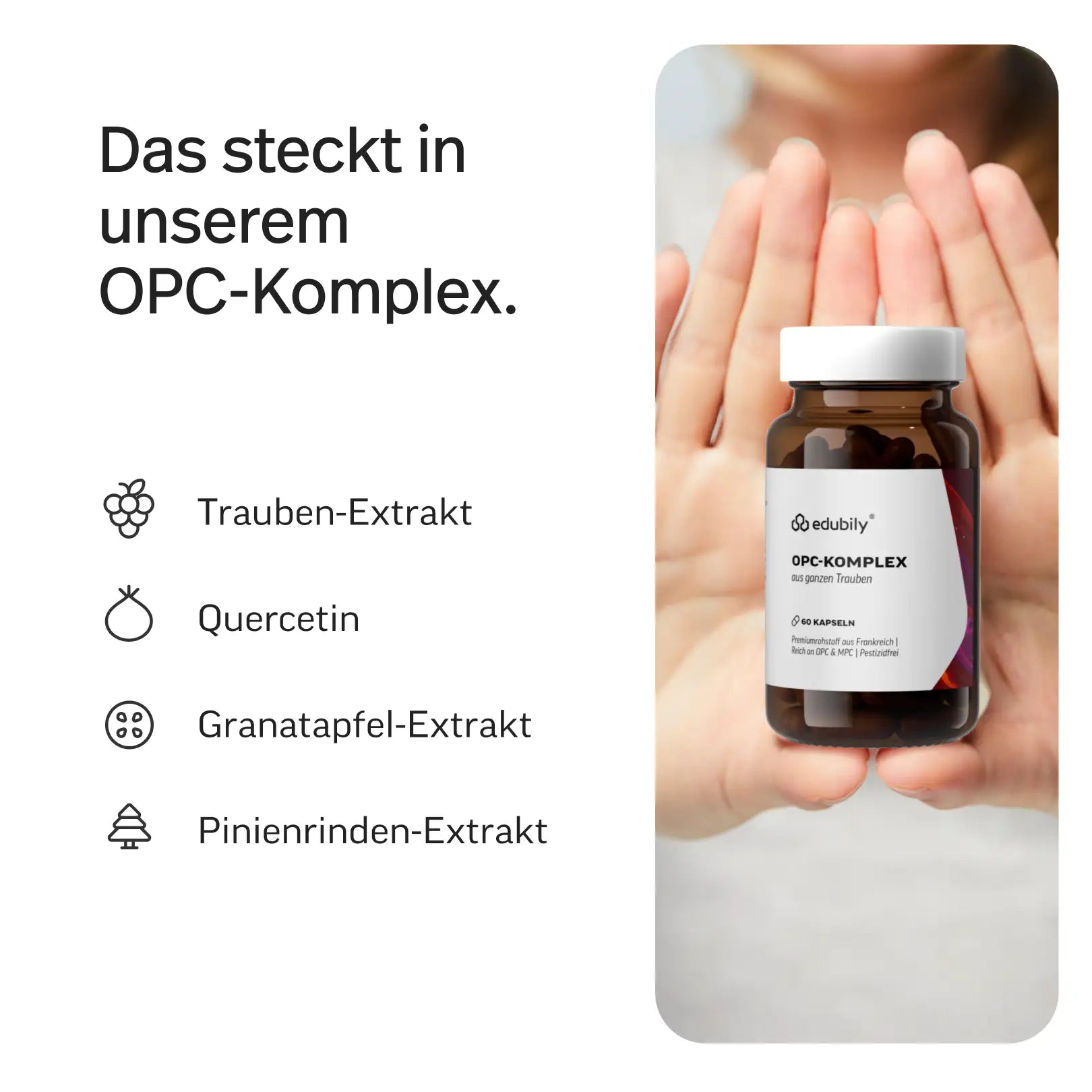 OPC-Komplex Kapseln