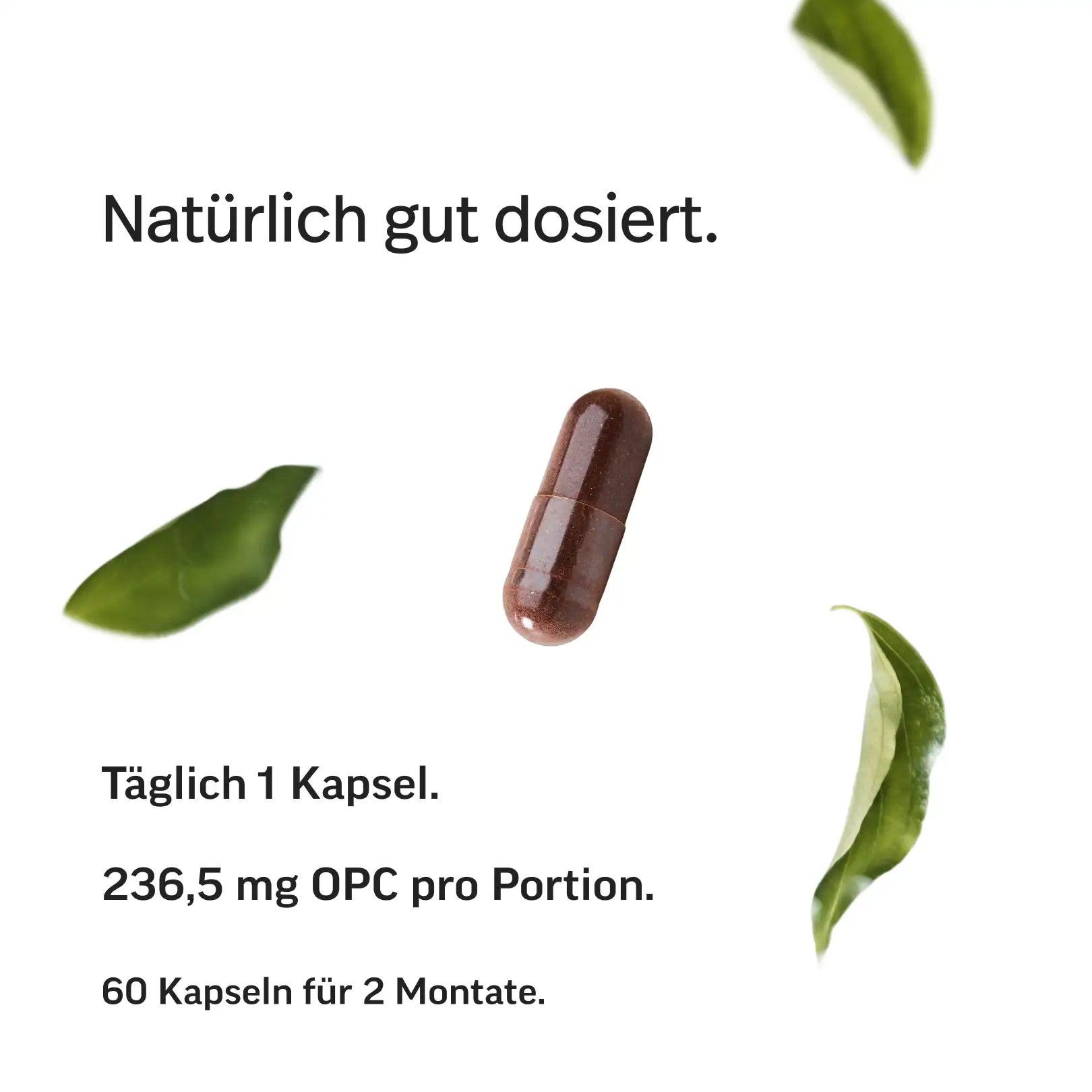OPC-Komplex Kapseln