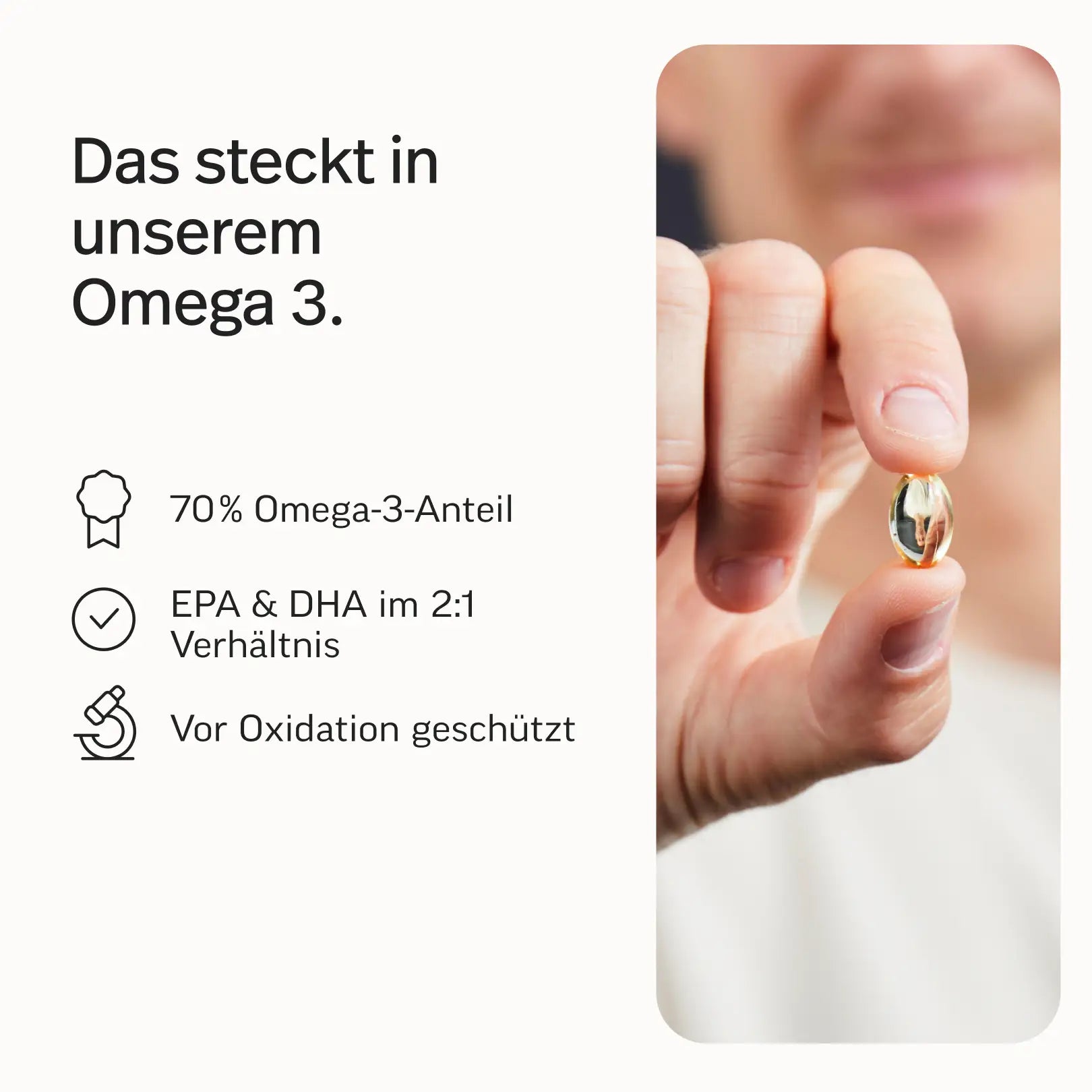 Gründer-Bundle Phil