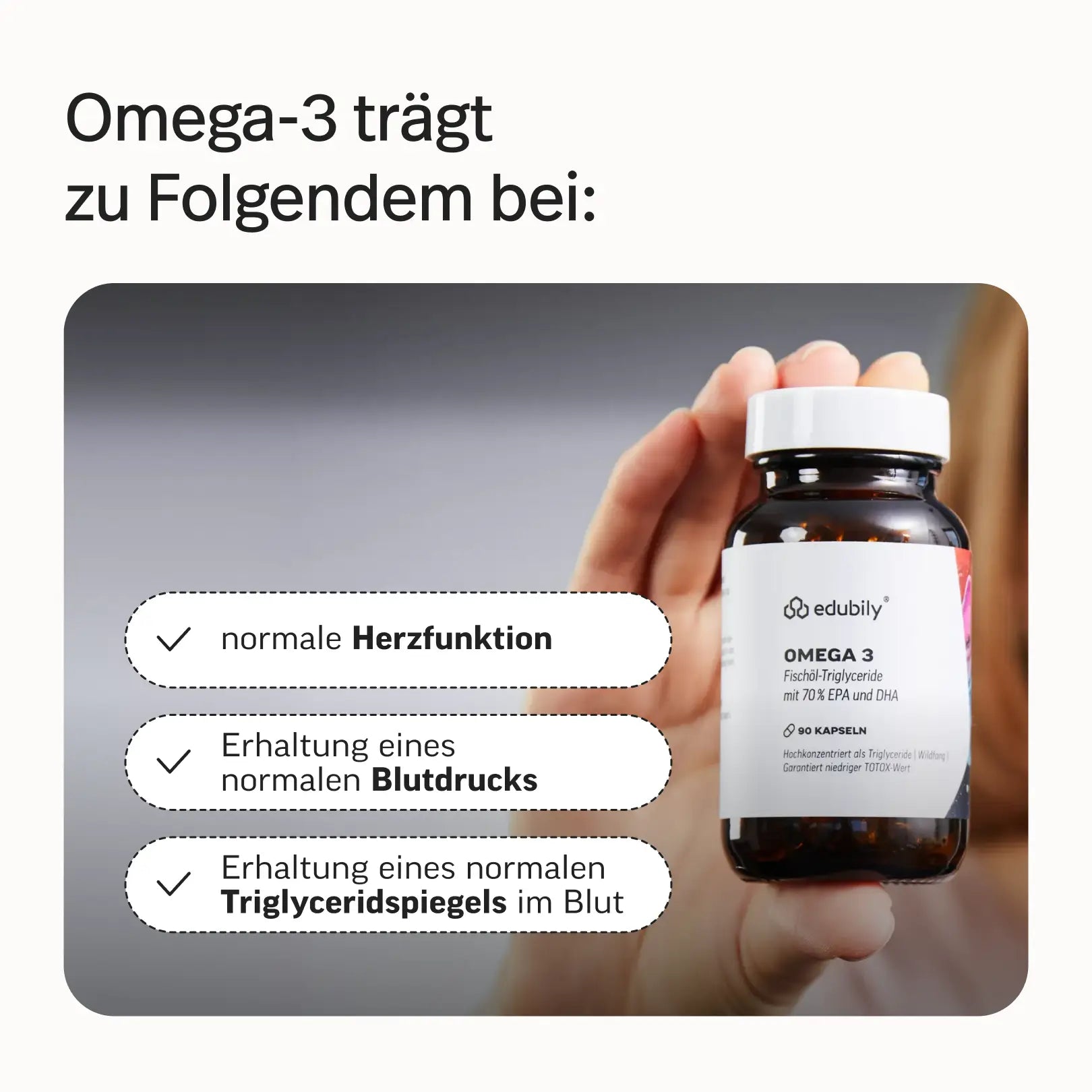 Gründer-Bundle Phil