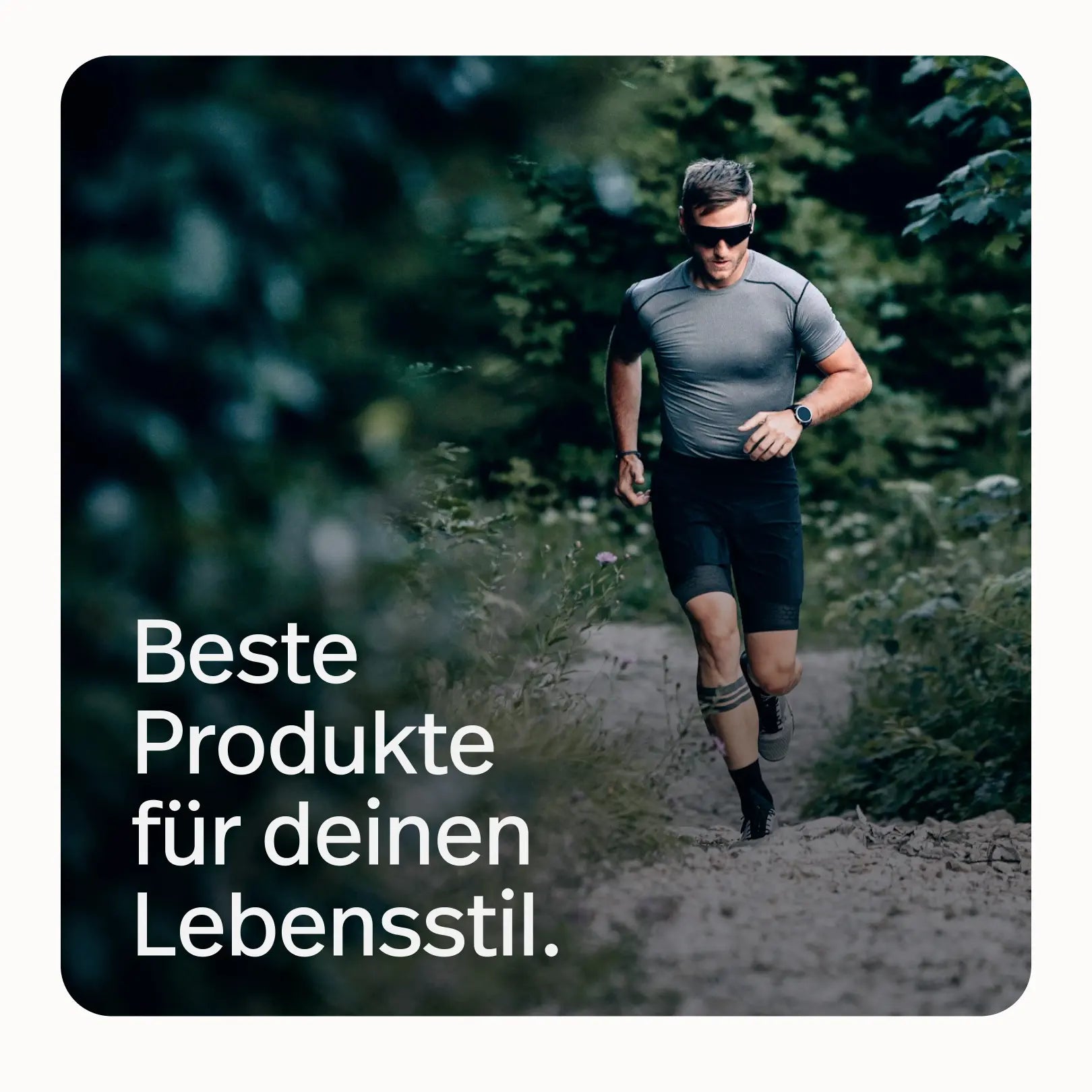 #inhalt_300 Kapseln