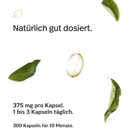 Omega-3 Kapseln – Triglyceride 70 %