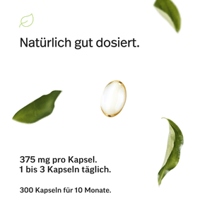 #inhalt_300 Kapseln