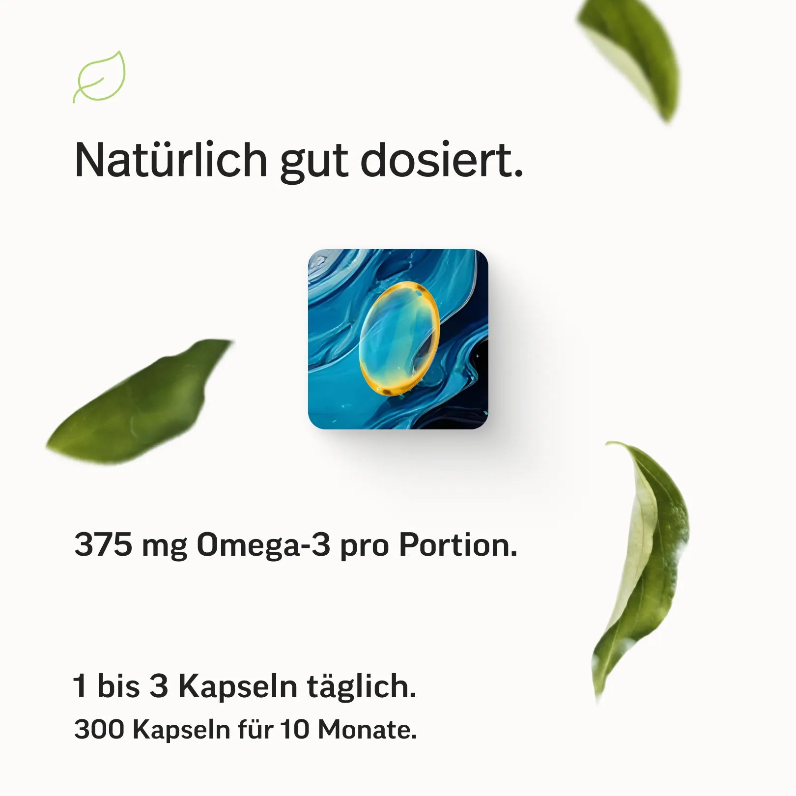 #inhalt_300 Kapseln