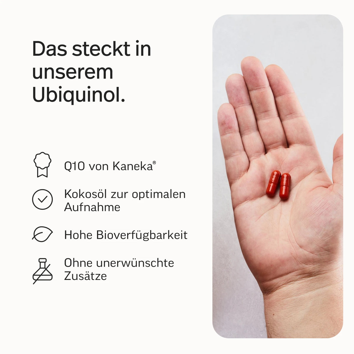 Energie-Bundle*