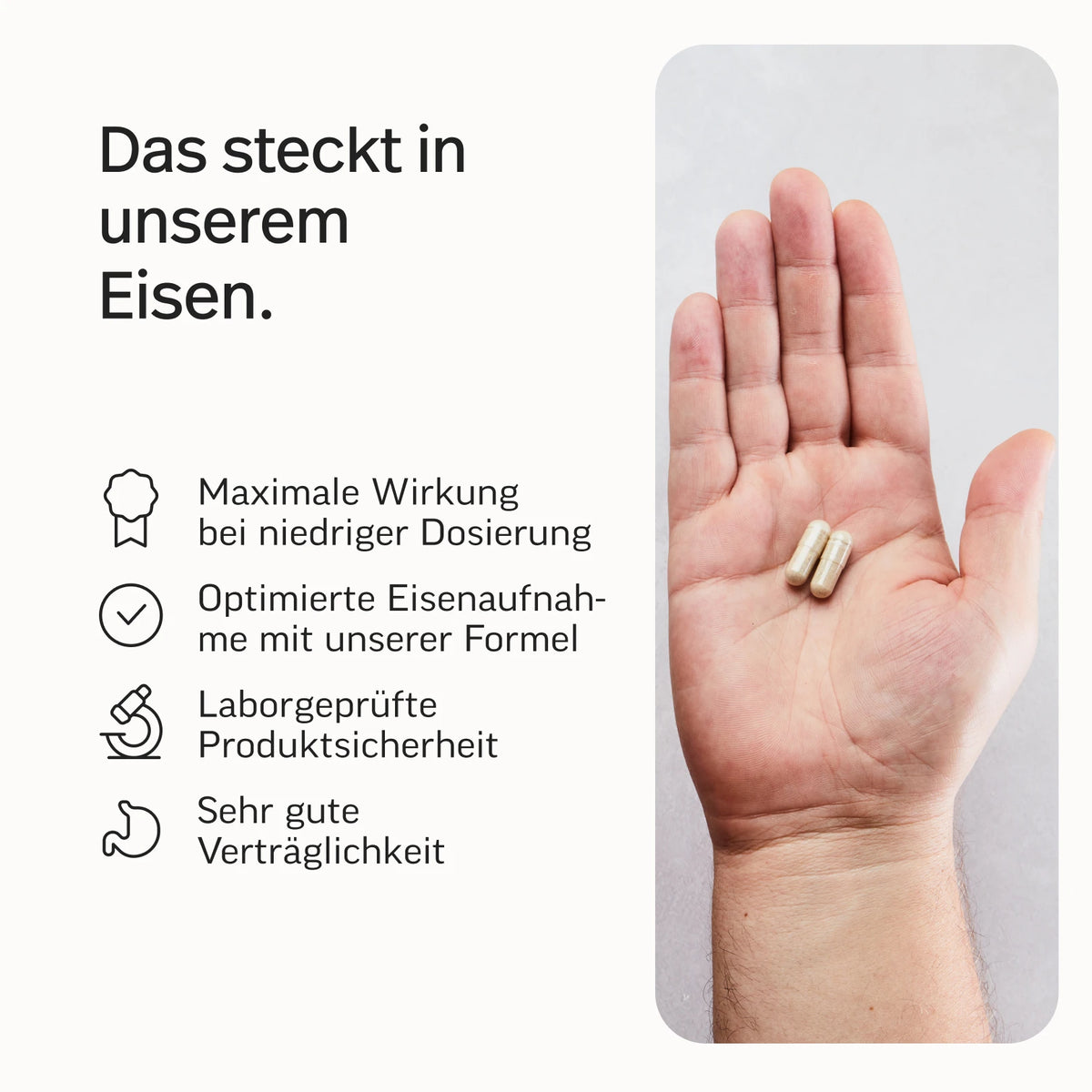 Energie-Bundle*