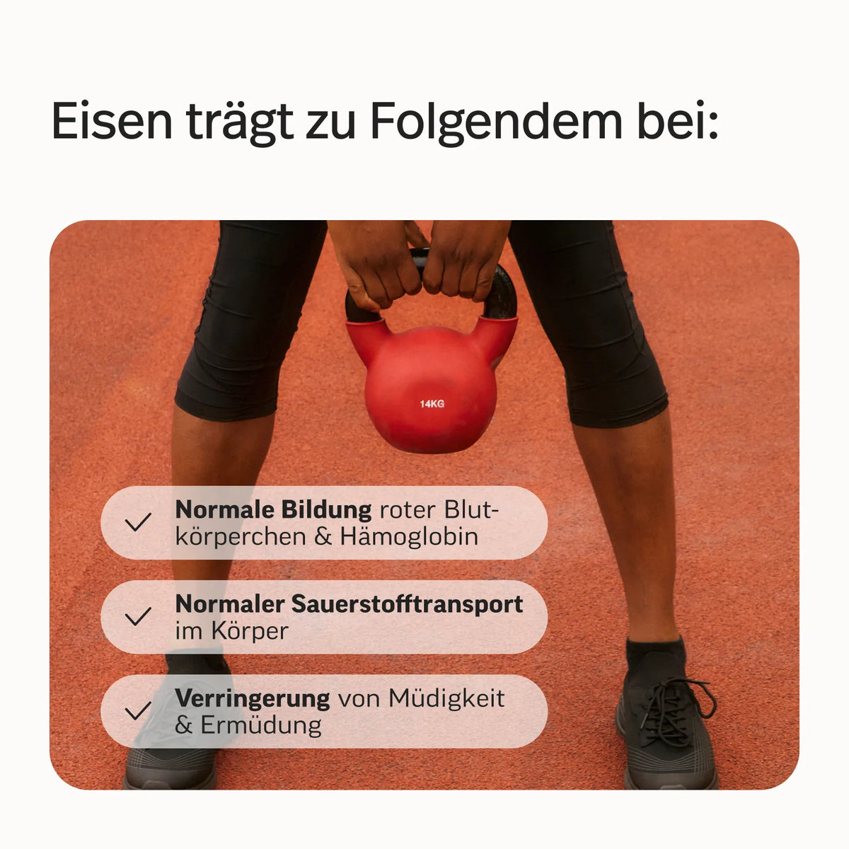 Energie-Bundle*
