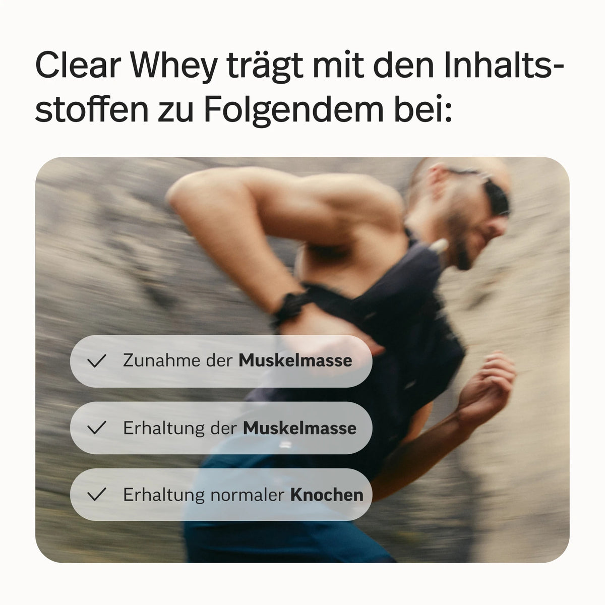 Fitness-Bundle