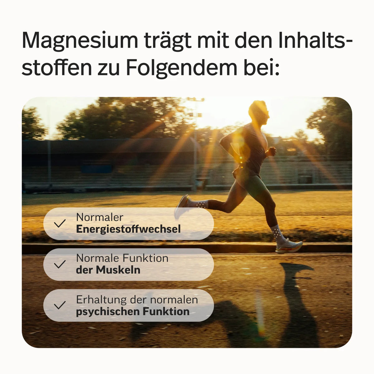 Fitness-Bundle