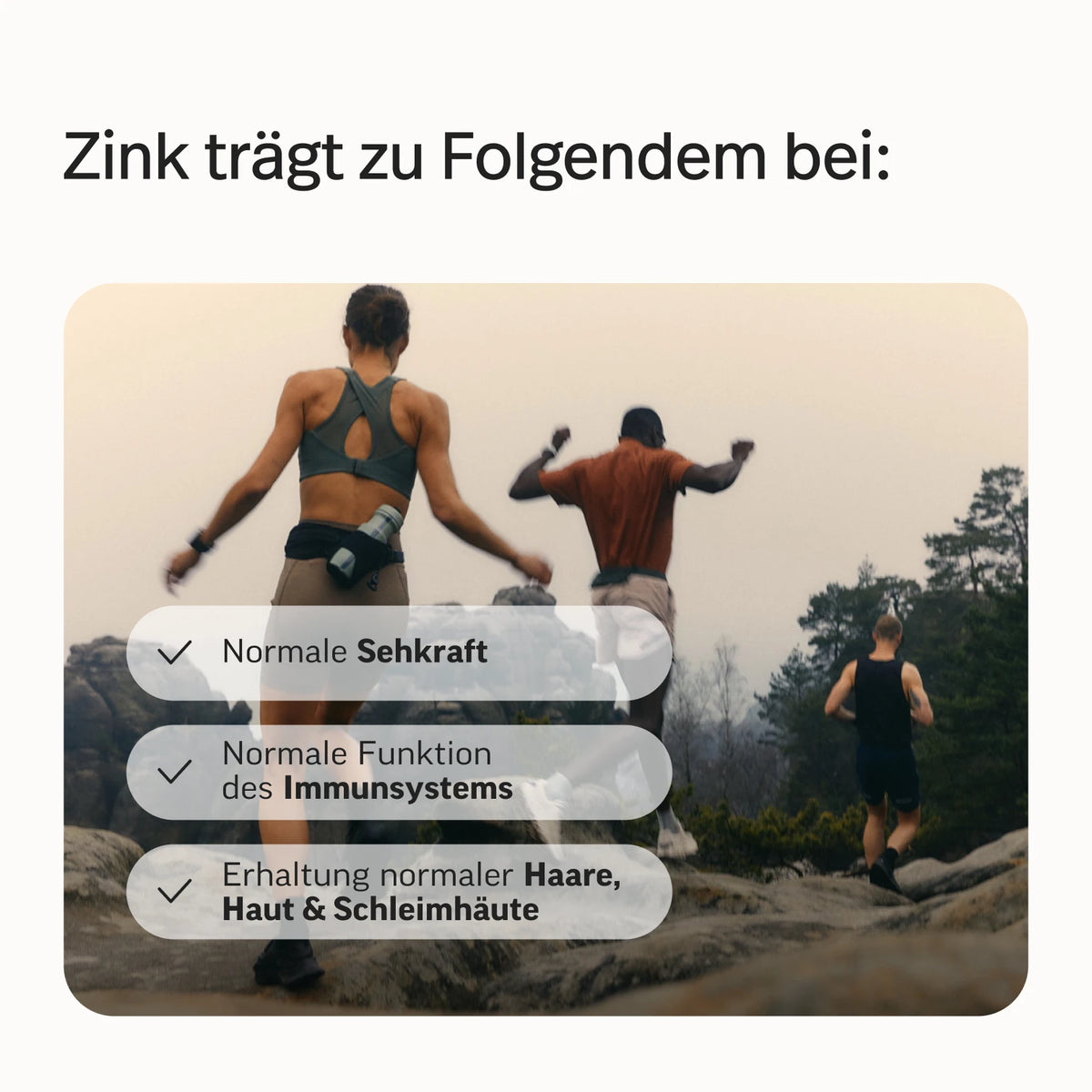 Immun-Bundle