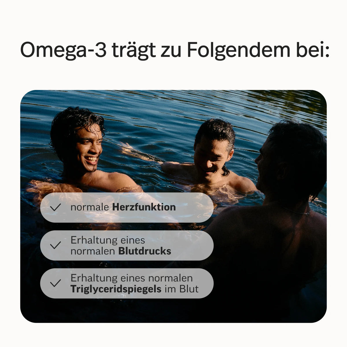 Relax-Bundle