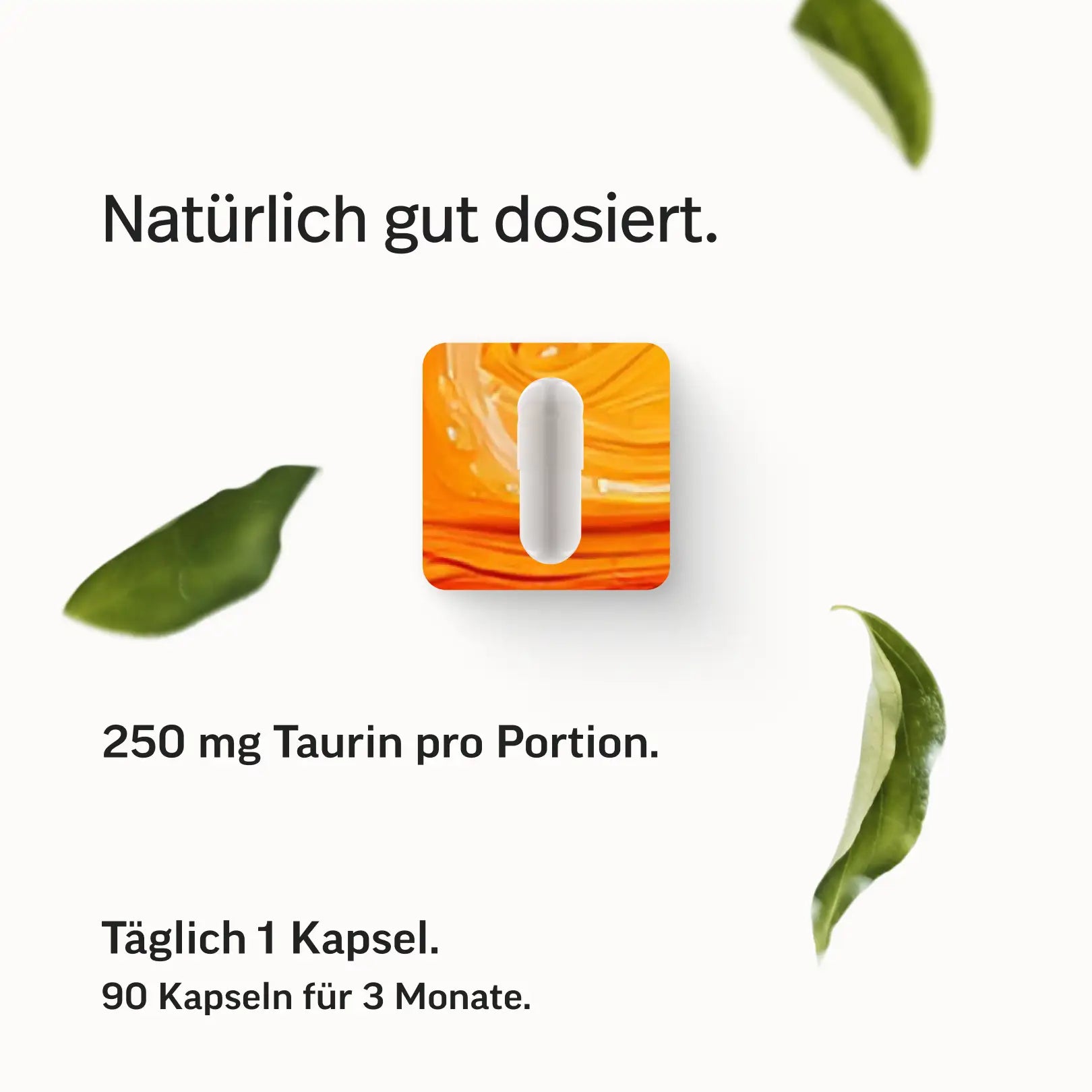 Taurin Kapseln