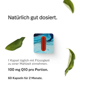 Ubiquinol Q10