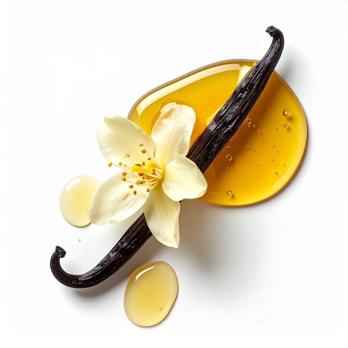 Protein Bar Chocolate Vanilla