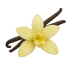 Vanille
