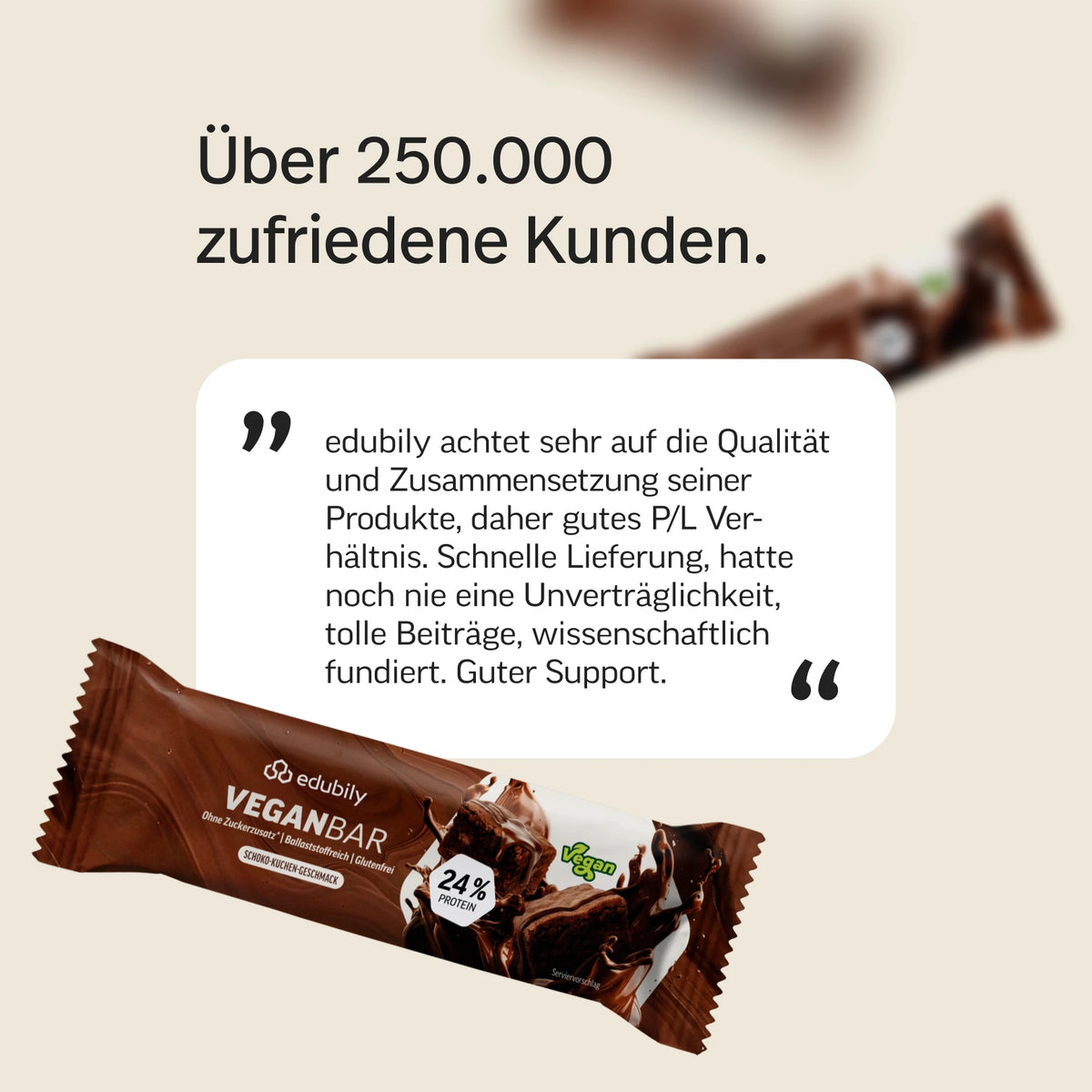 VeganBar Schokoladenkuchen