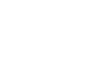 BLU100