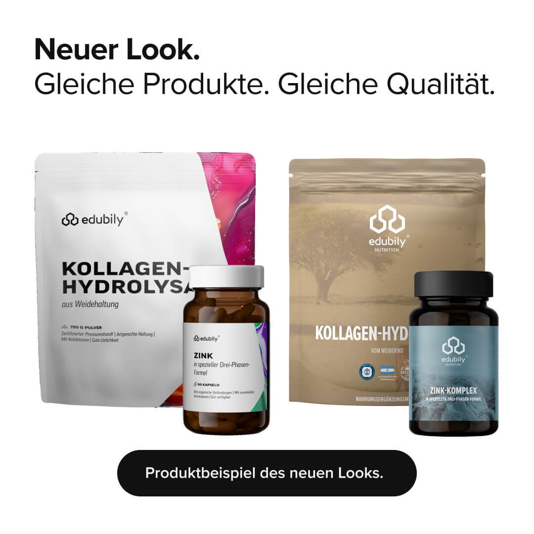Lysin Komplex
